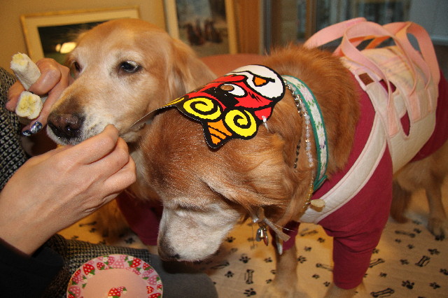 ファイル 2879-5.jpg