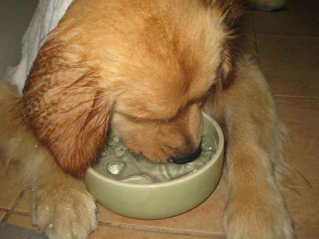 ファイル 288-2.jpg