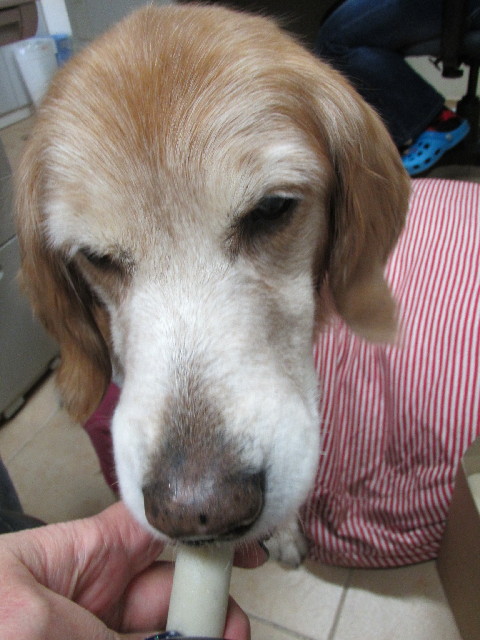 ファイル 2880-1.jpg