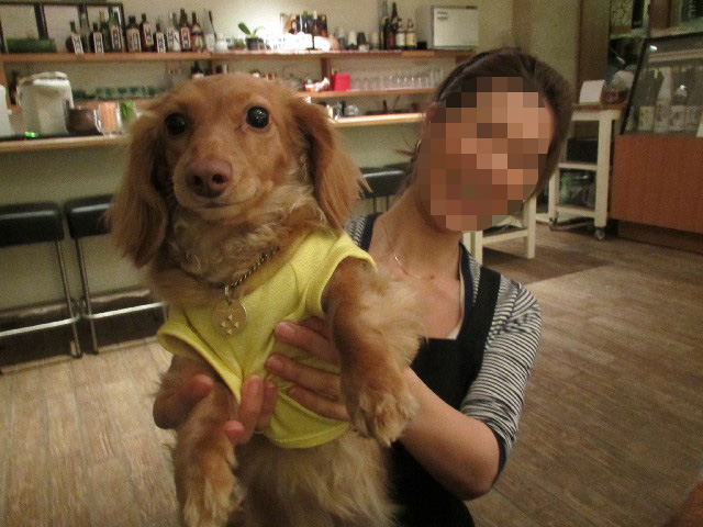 ファイル 2880-5.jpg