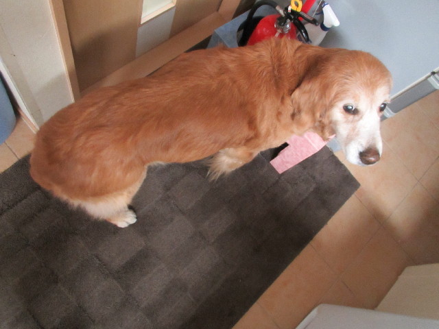 ファイル 2884-4.jpg