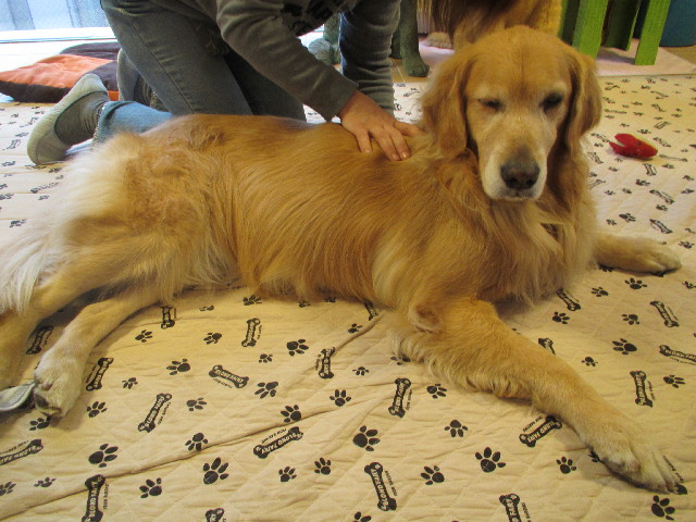 ファイル 2885-1.jpg