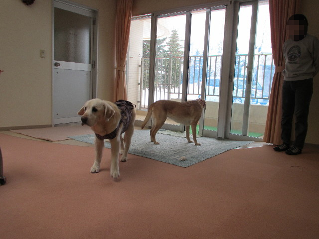 ファイル 2886-5.jpg