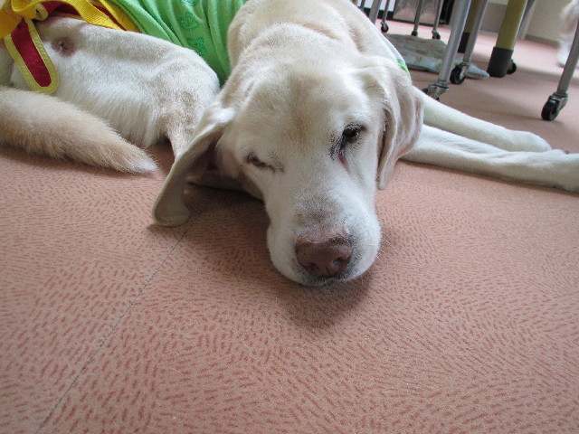 ファイル 2887-1.jpg