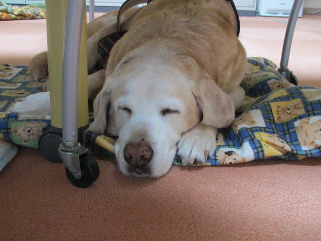 ファイル 2887-2.jpg