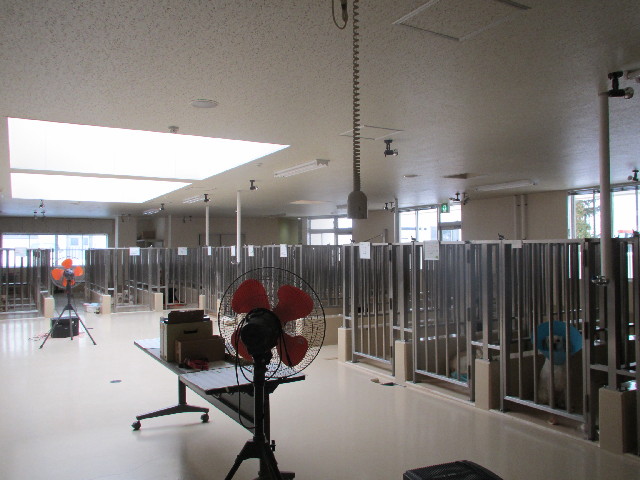 ファイル 2887-5.jpg