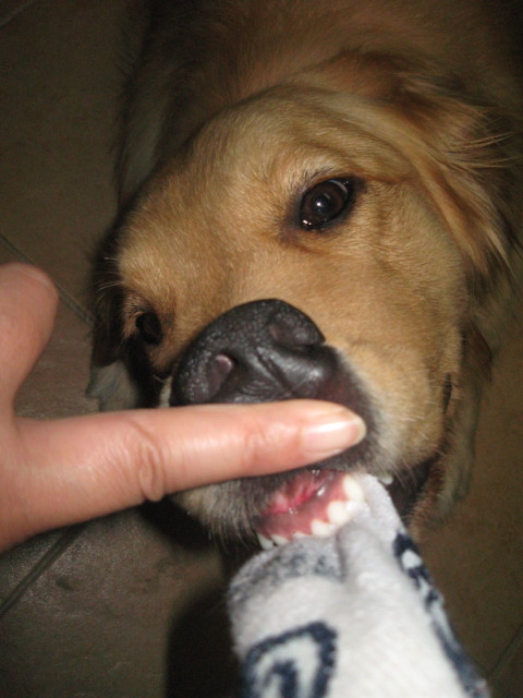 ファイル 289-5.jpg