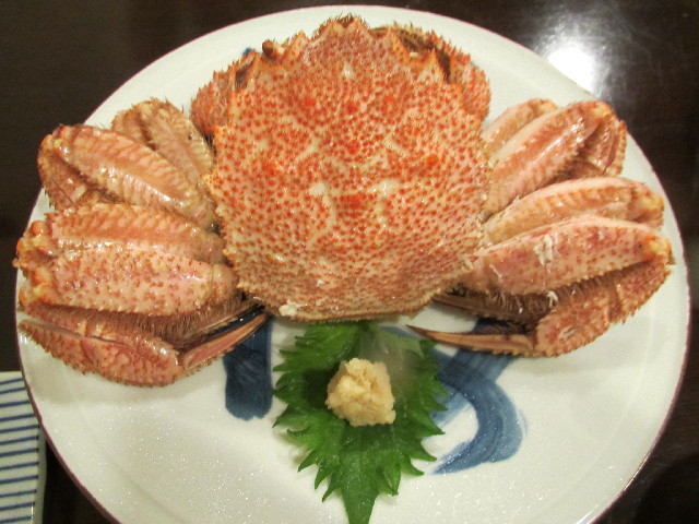 ファイル 2891-1.jpg