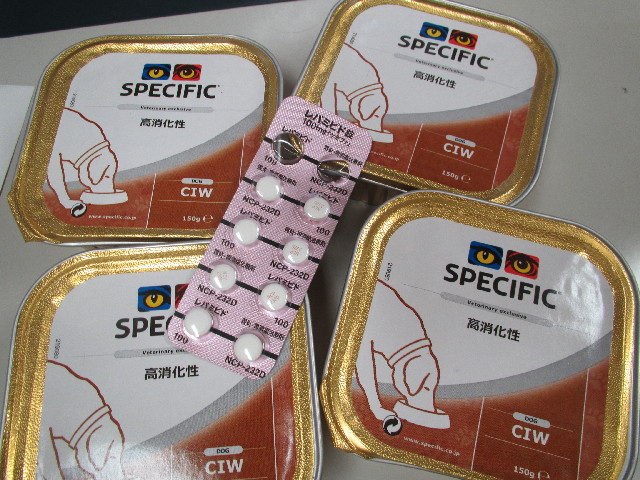 ファイル 2896-1.jpg