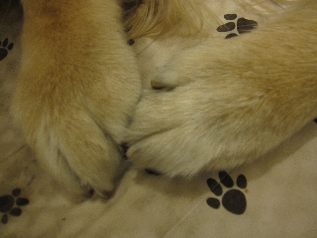 ファイル 2897-2.jpg