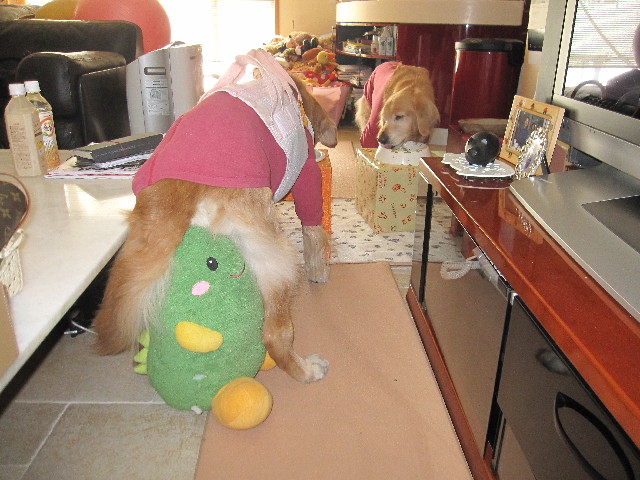 ファイル 2897-4.jpg