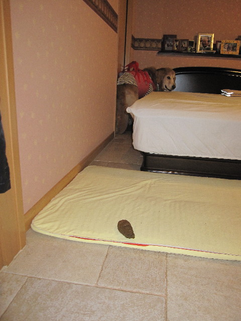 ファイル 2897-5.jpg