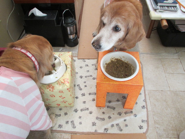 ファイル 2900-1.jpg