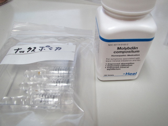 ファイル 2901-5.jpg