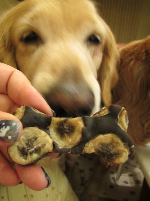 ファイル 2902-2.jpg