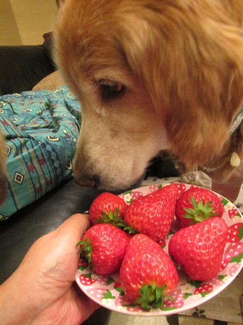 ファイル 2902-3.jpg