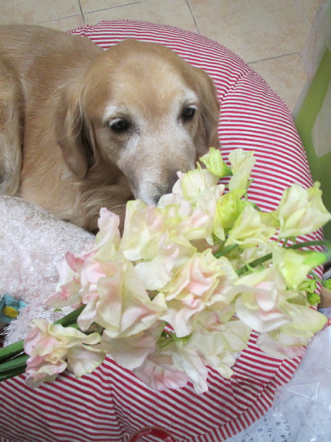 ファイル 2902-5.jpg