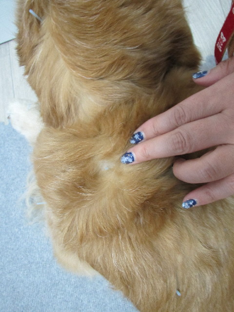 ファイル 2903-1.jpg