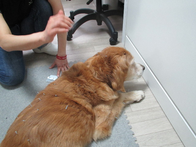 ファイル 2903-2.jpg