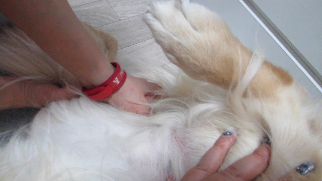 ファイル 2903-3.jpg