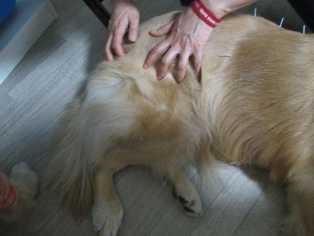 ファイル 2903-5.jpg