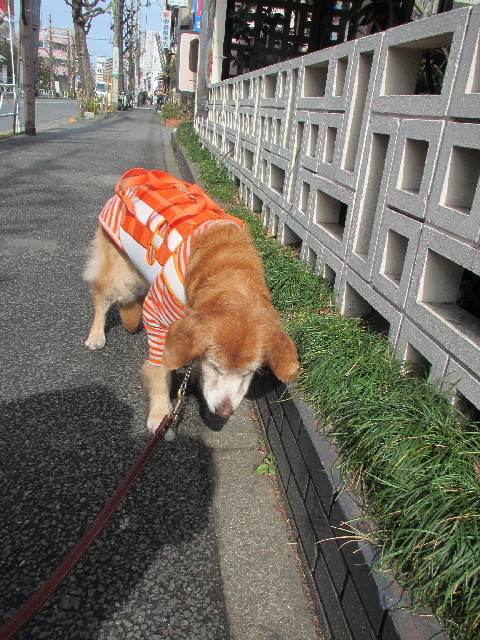 ファイル 2904-3.jpg