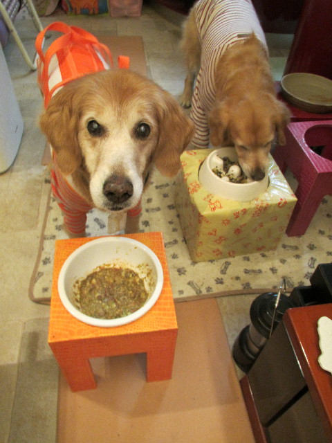 ファイル 2904-4.jpg