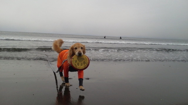 ファイル 2906-2.jpg