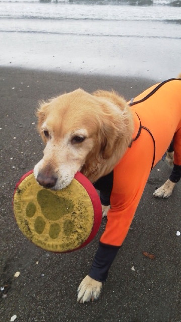 ファイル 2906-3.jpg