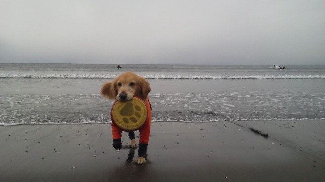 ファイル 2906-4.jpg