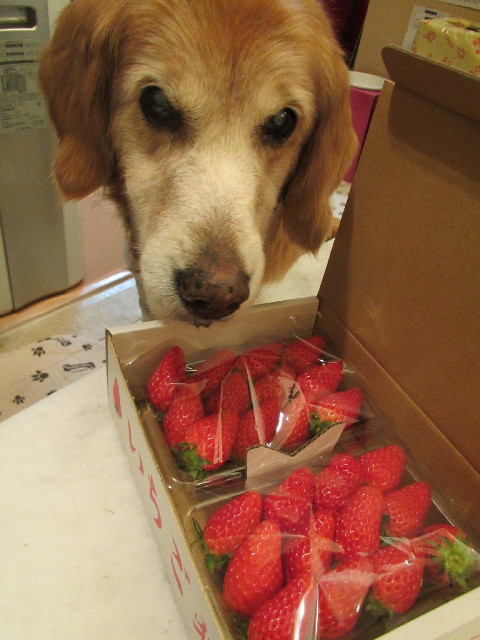 ファイル 2911-2.jpg