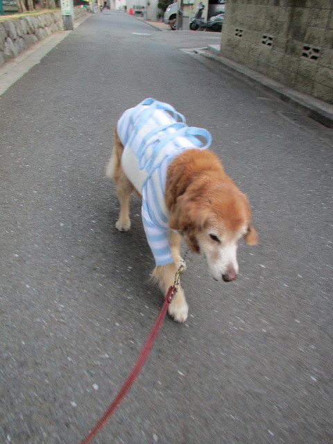 ファイル 2911-4.jpg