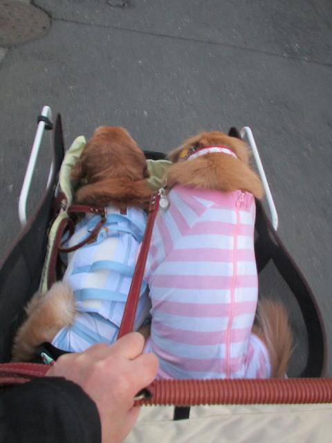 ファイル 2912-1.jpg