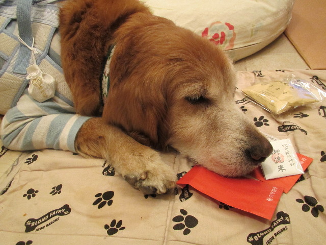 ファイル 2913-2.jpg