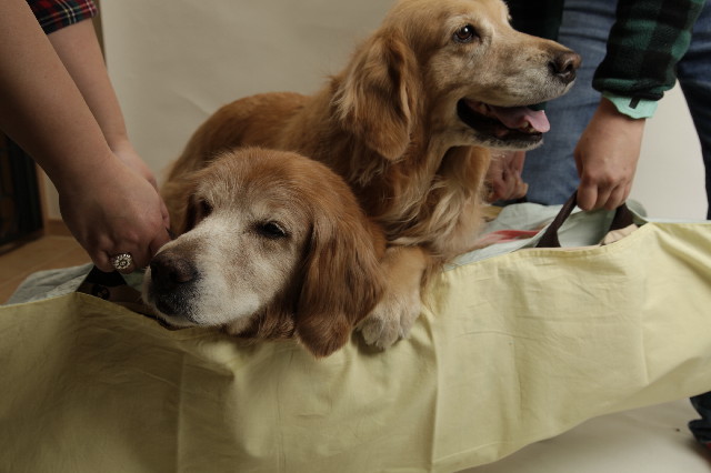 ファイル 2913-5.jpg