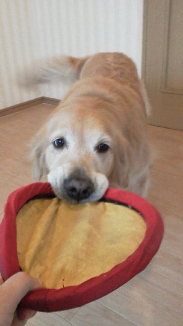 ファイル 2914-1.jpg