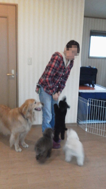 ファイル 2914-2.jpg