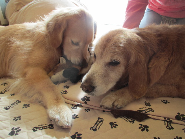 ファイル 2915-2.jpg