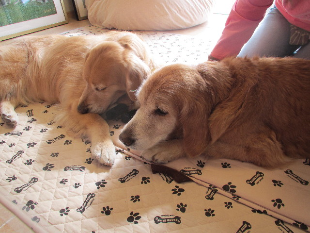 ファイル 2915-3.jpg