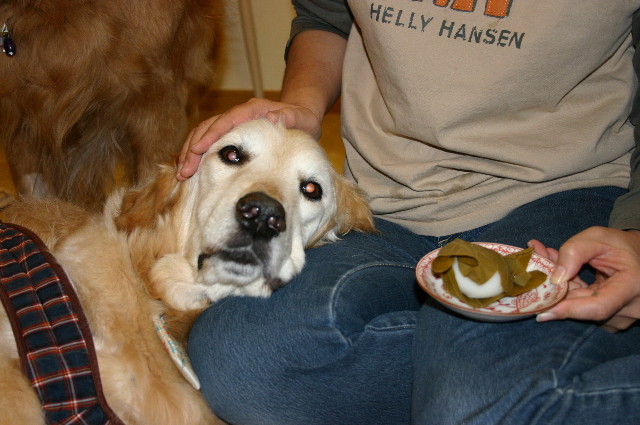 ファイル 2916-2.jpg