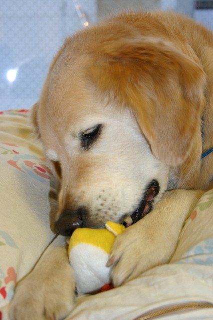 ファイル 2916-5.jpg