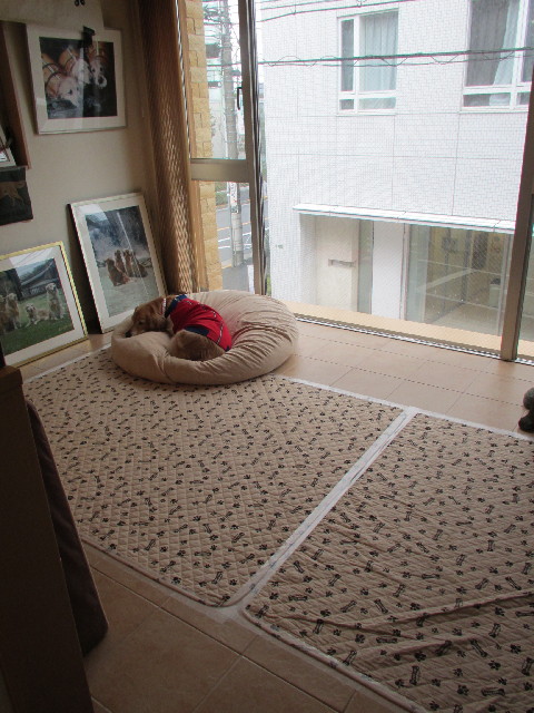 ファイル 2917-1.jpg