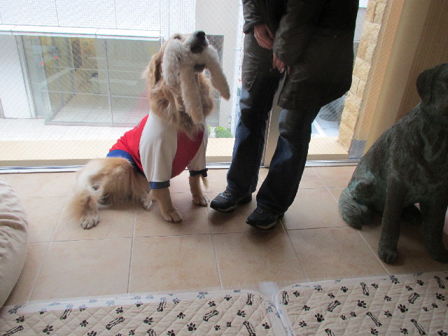 ファイル 2917-5.jpg