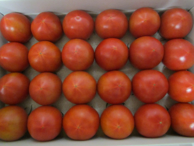 ファイル 2918-4.jpg