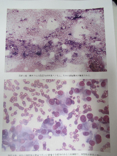 ファイル 2921-4.jpg