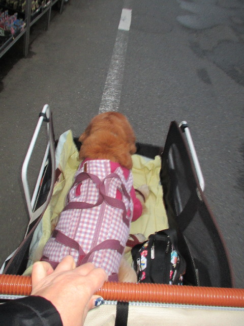 ファイル 2921-5.jpg