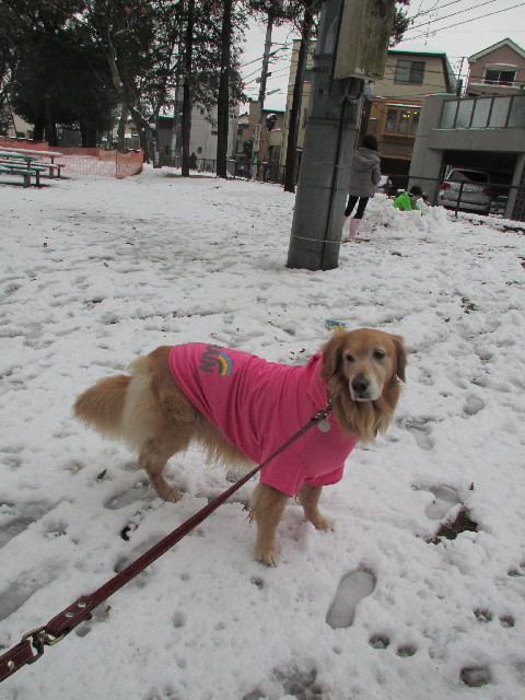 ファイル 2924-1.jpg