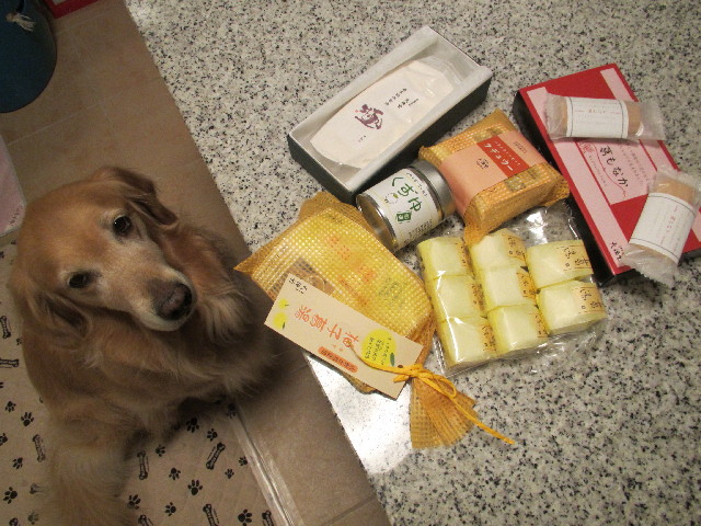 ファイル 2924-3.jpg