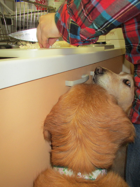 ファイル 2926-1.jpg