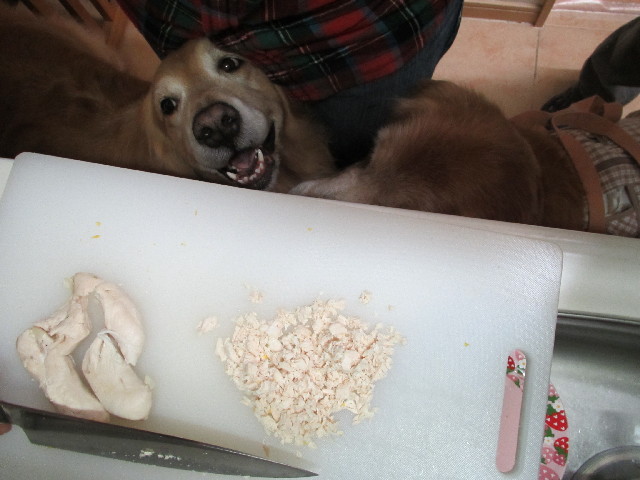 ファイル 2926-2.jpg